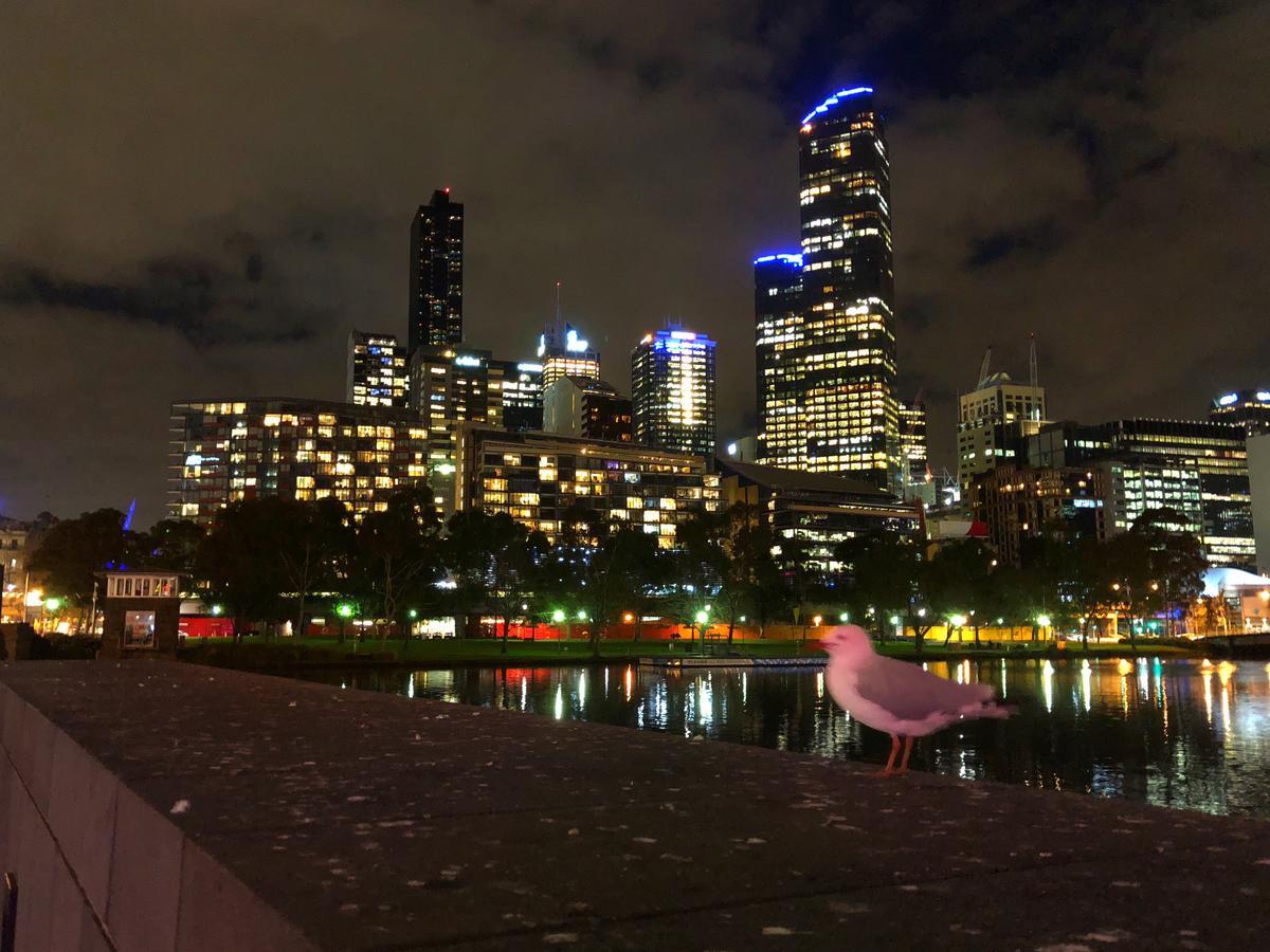 Ferienwohnung Melbourne River Views Exterior foto